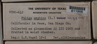 Image Associated With the Occurence